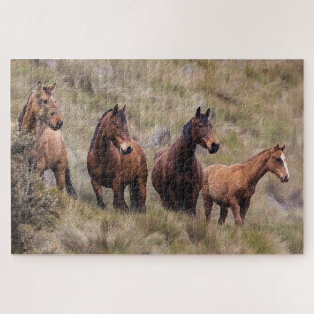 Quebra-cabeça Equestre (Horizontal)