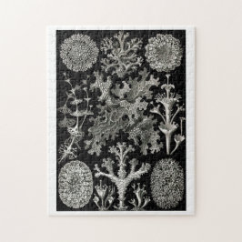 Quebra-cabeça Ernst Haeckel Lichens
