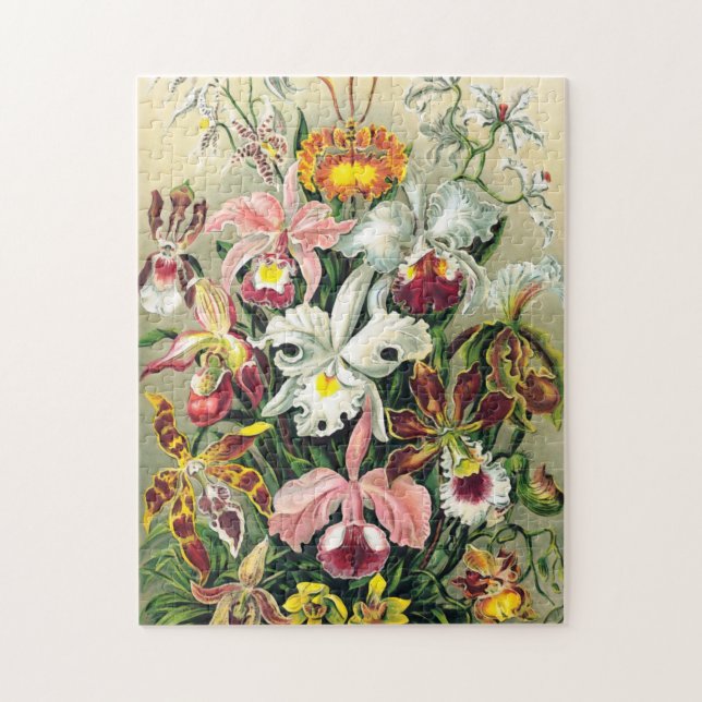 Quebra-cabeça Ernst Haeckel - Orquídeos (Vertical)