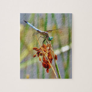 Quebra-cabeça Erva de areia e Dragonfly