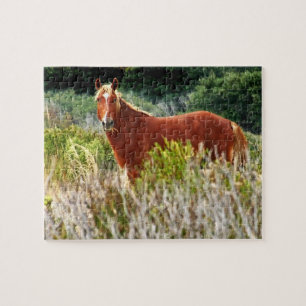 Quebra-cabeça Escada de Cavalo Selvagem