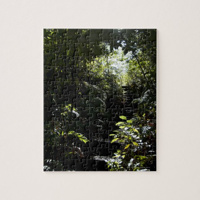 Quebra-cabeça Escadaria/passeio rústicos na floresta, luz solar (Vertical)