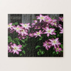 Quebra-cabeça Escalando Flores De Mola Roxo Clematis