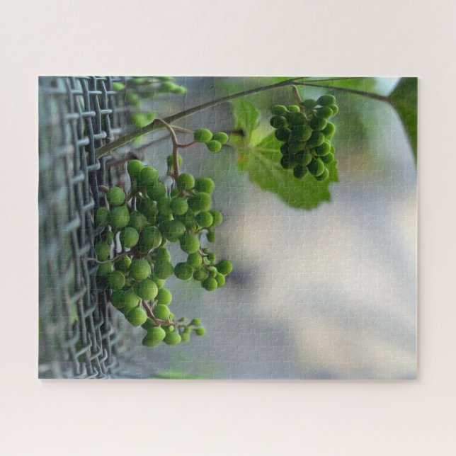 Quebra-cabeça Escapar da cerca (Horizontal)