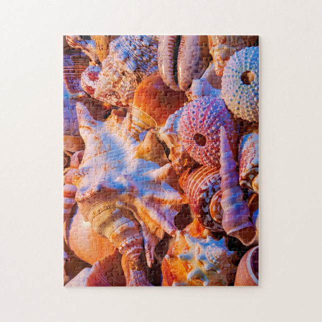 Quebra-cabeça Escudos (Vertical)