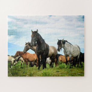 Quebra-cabeça espanhol dos mustang