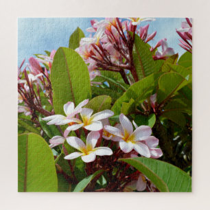Quebra-cabeça Esplendor Cor-De-Rosa, Sangue De Frangipani Rosa N