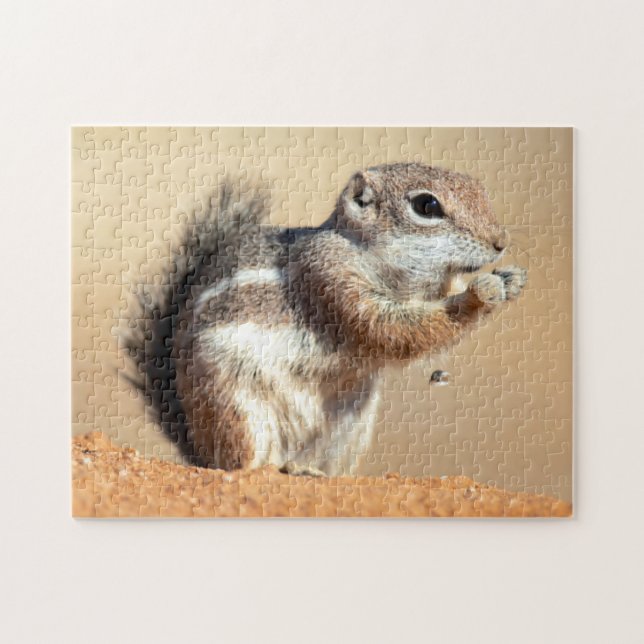 Quebra-cabeça esquilo-antílope de Harris (Ammospermophilus) (Horizontal)