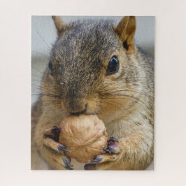 Quebra-cabeça Esquilo de árvore comendo noz