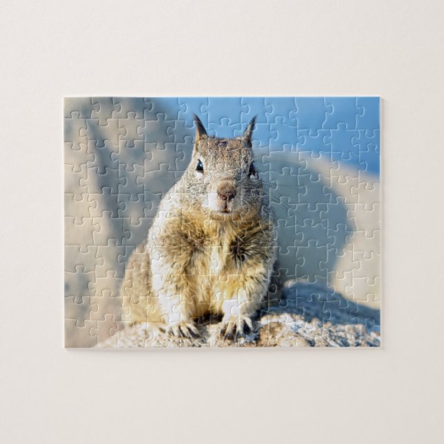 Quebra-cabeça Esquilo de cinza, Monterey Bay, Califórnia (Horizontal)