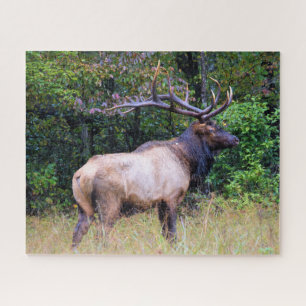 Quebra-cabeça Estação de caça - Bull Elk - 16x20 polegadas