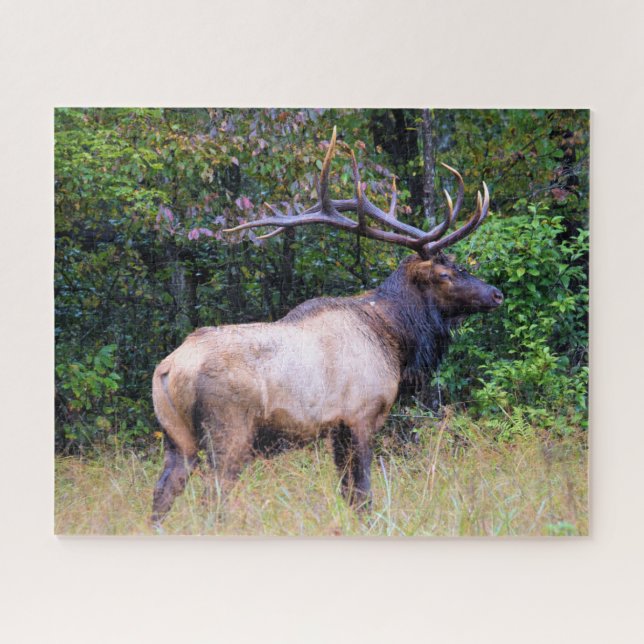 Quebra-cabeça Estação de caça - Bull Elk - 16x20 polegadas (Horizontal)