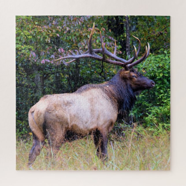 Quebra-cabeça Estação de caça - Bull Elk - 20x20 polegadas (Vertical)
