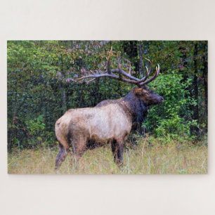 Quebra-cabeça Estação de caça - Bull Elk - 20x30 polegadas