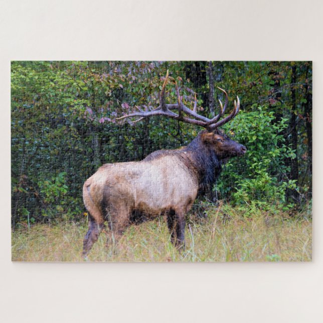 Quebra-cabeça Estação de caça - Bull Elk - 20x30 polegadas (Horizontal)