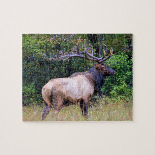 Quebra-cabeça Estação de caça - Bull Elk - 8x10