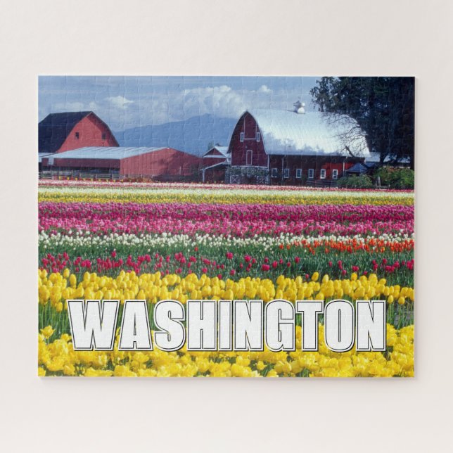 Quebra-cabeça Estado de Washington | Campo de tulipas (Horizontal)