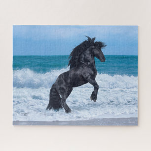 Quebra-cabeça Estalhão Frísia Negro Criando No Mar