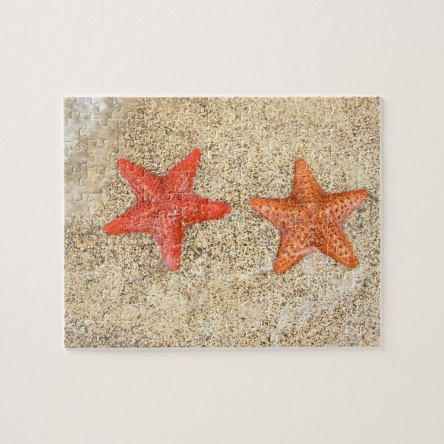 Quebra-cabeça estrela da praia, na beira do oceano (Horizontal)