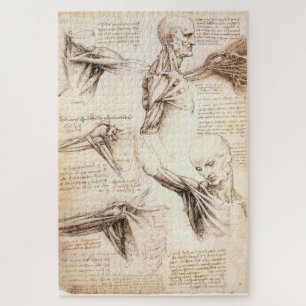 Quebra-cabeça Estudos Anatômicos do Ombro-Leonardo da Vinci da E