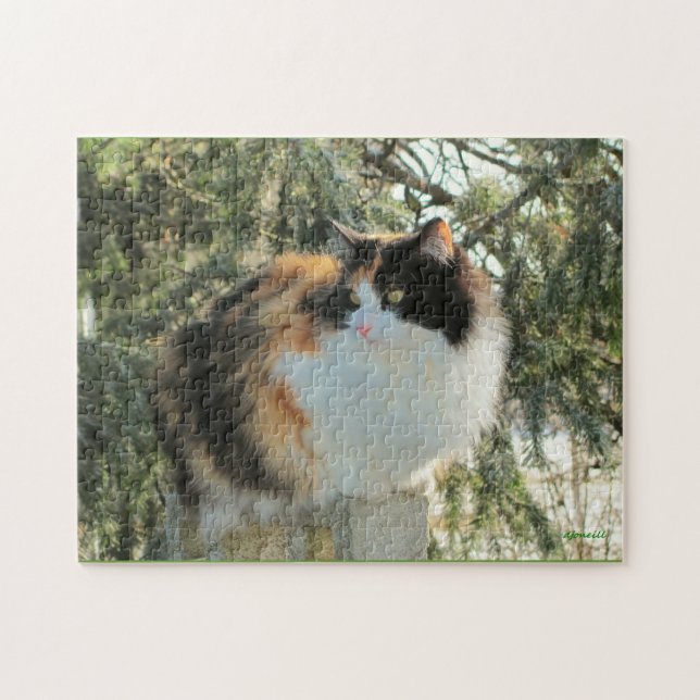 Quebra-cabeça Eu espio com meu olho frio (Horizontal)