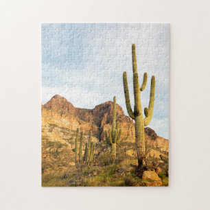 Quebra-cabeça EUA, Arizona, Floresta Nacional Tonto, Picketpost 