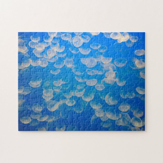 Quebra-cabeça EUA, Califórnia. Água-Velho Na Baía De Monterey (Horizontal)