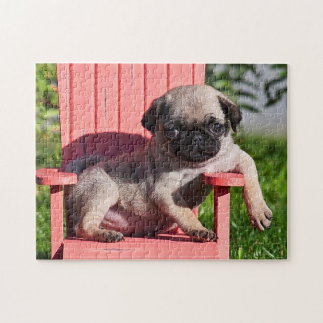Quebra-cabeça EUA, Califórnia. Pug cachorrinho desleixado (Horizontal)