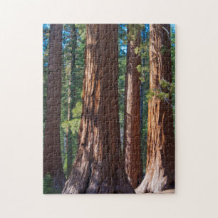Quebra-cabeça EUA, Califórnia. Troncos de Árvores Redwood, Marip