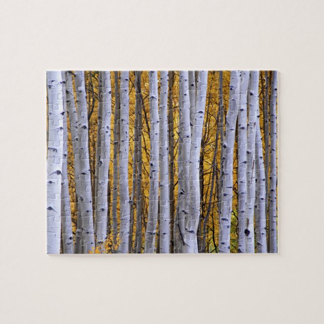 Quebra-cabeça EUA, Colorado, Montanhas Rochosas.  Cena íntima (Horizontal)