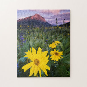 Quebra-cabeça EUA, Colorado, Mt. Crested Butte