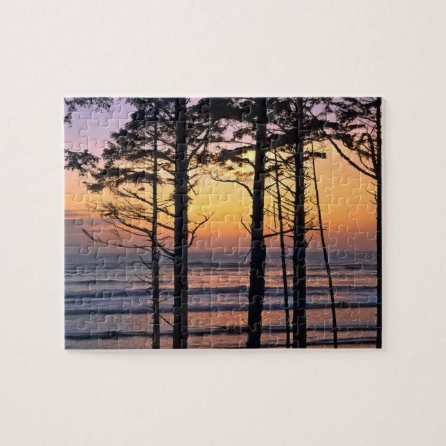 Quebra-cabeça EUA, Estado de Washington, Olimpiadas NP. Delicado (Horizontal)