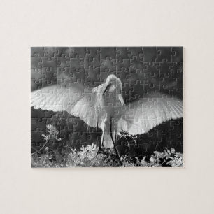 Quebra-cabeça EUA, Flórida, Garça-branca-grande (Ardea alba) inf