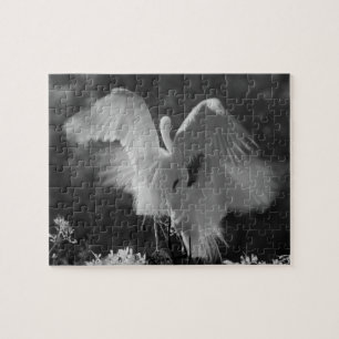 Quebra-cabeça EUA, Flórida, Garça-branca-grande (Ardea alba) inf