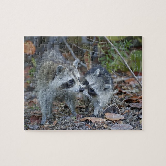 Quebra-cabeça EUA, Flórida, Sanibel, Ding Darling Nacional (Horizontal)