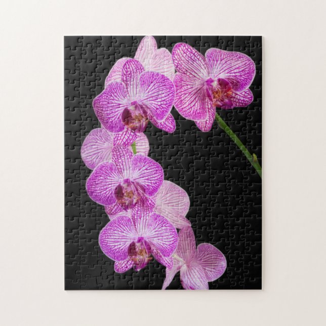 Quebra-cabeça EUA, Geórgia, Savannah, Conjunto De Orquídeas 2 (Vertical)