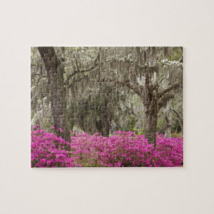 Quebra-cabeça EUA, Geórgia, Savannah, Primavera no Histórico