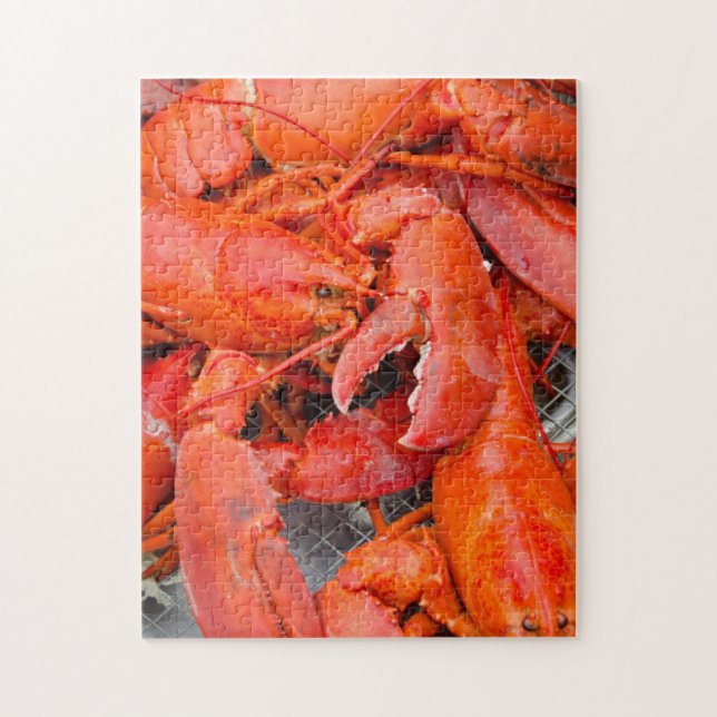 Quebra-cabeça EUA, Massachusetts, Ilha de Martha's Vineyard (Vertical)