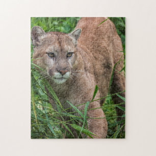 Quebra-cabeça EUA, Minnesota, Sandstone, Minnesota Willife