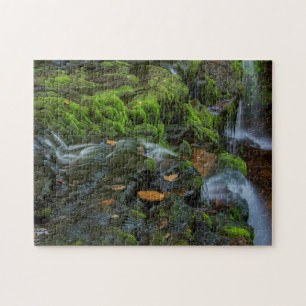 Quebra-cabeça EUA, Pensilvânia, Benton, Ricketts Glen State