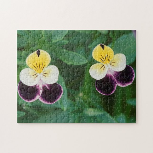 Quebra-cabeça EUA, Utah, Cache Valley, Johnny Jump Up (Horizontal)