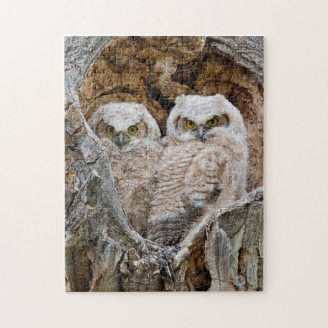 Quebra-cabeça EUA, Wyoming, Grand Teton National Park (Vertical)