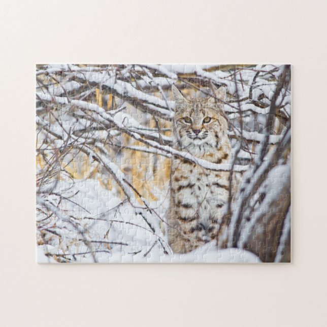 Quebra-cabeça EUA, Wyoming, Lince-vermelho (Horizontal)