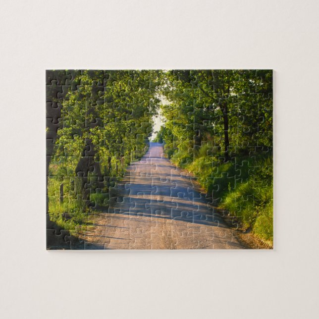 Quebra-cabeça Europa, Itália, Toscana, estrada arborizada (Horizontal)