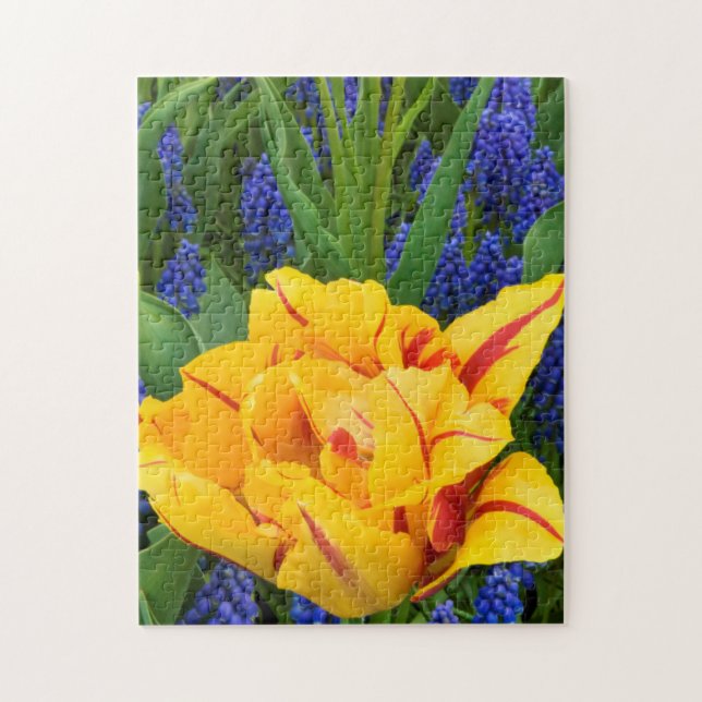 Quebra-cabeça Europa, Países Baixos, Lisse. Tulipas (Vertical)