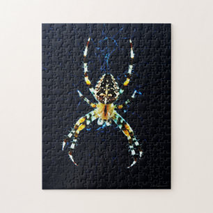 Quebra-cabeça European Garden Spider 11x14 252pc jpcn