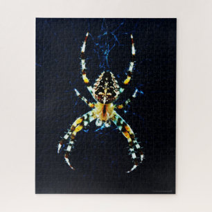 Quebra-cabeça European Garden Spider 16x20 520pc jpcn