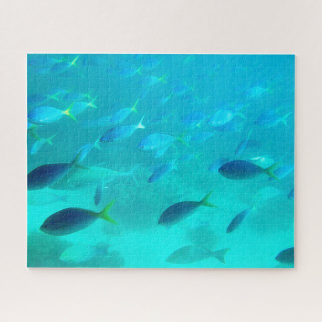 Quebra-cabeça Excelente Barreira Recife submarino desafiando (Horizontal)