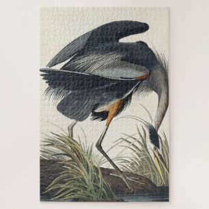 Quebra-cabeça Excelente Blue Heron de Birds da América