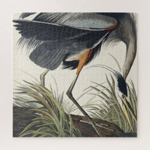 Quebra-cabeça Excelente Blue Heron de Birds da América
